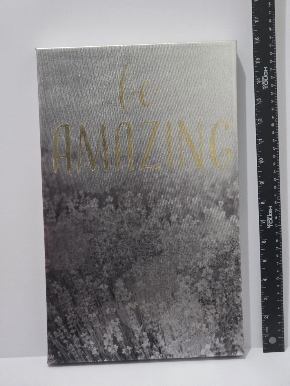 Be Amazing Gold Accent Canvas Wall Art - Silver & Gold
